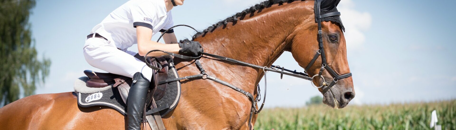 Revue Presse Ecole Cheval Aras Poney Aurillac Cantal