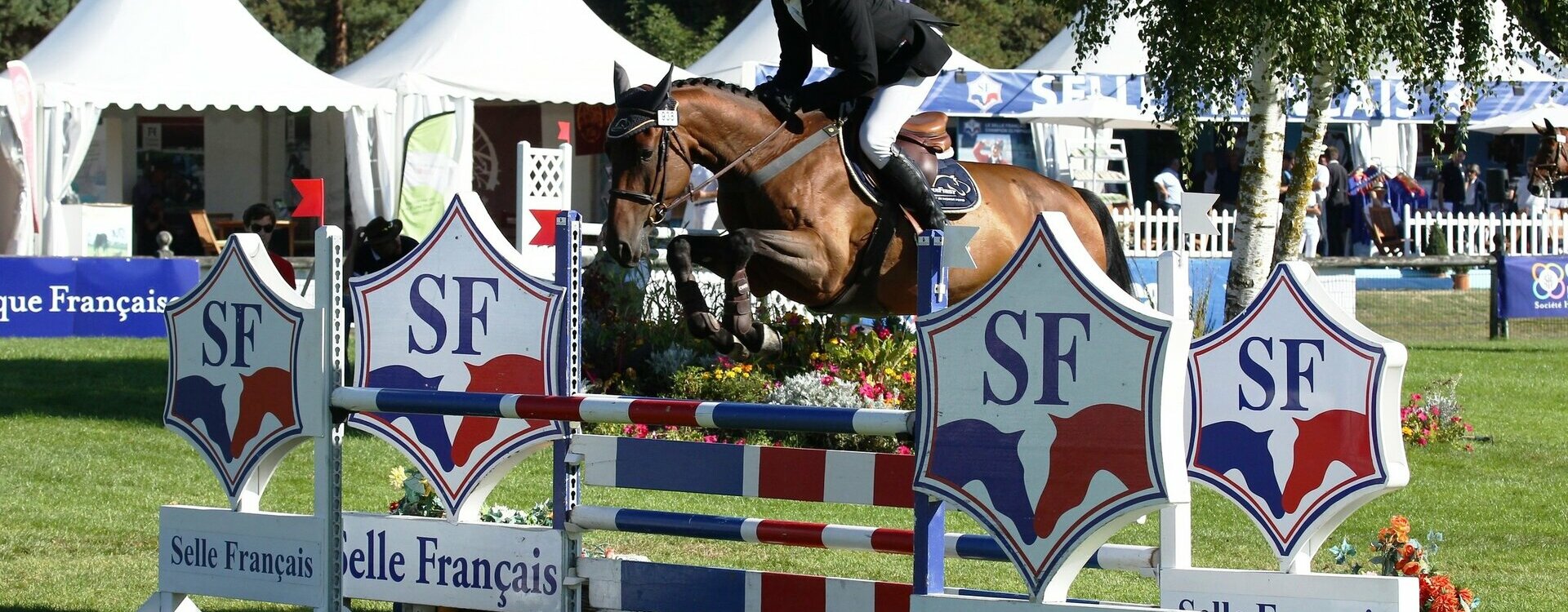 Cheval Poney Club Animations Concours Aurillac