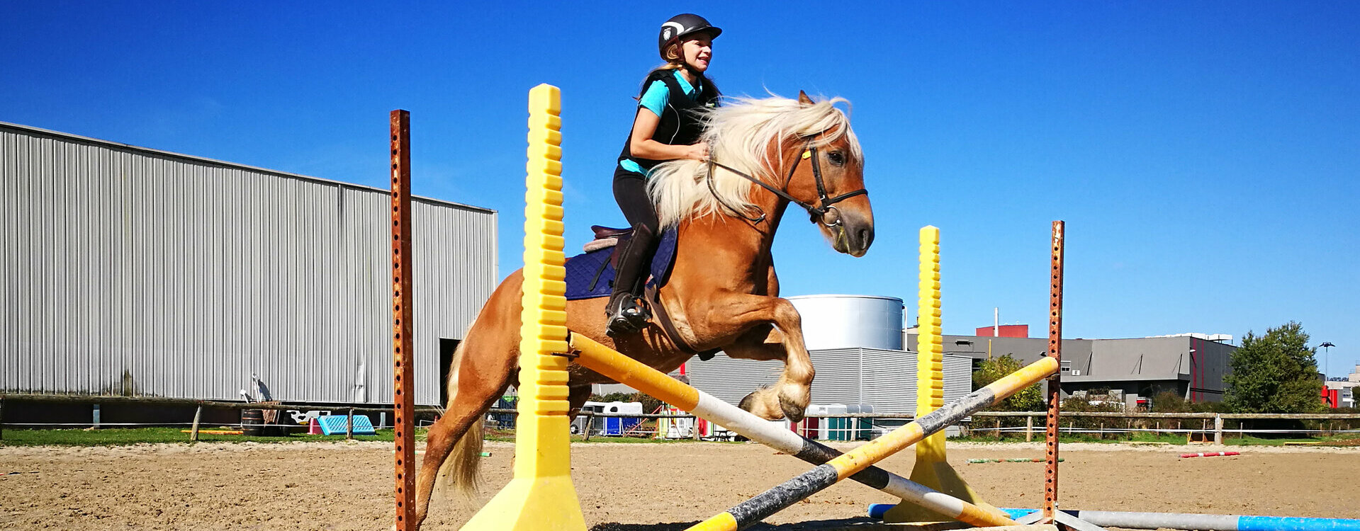 Cheval Poney Club Animations Concours Aurillac