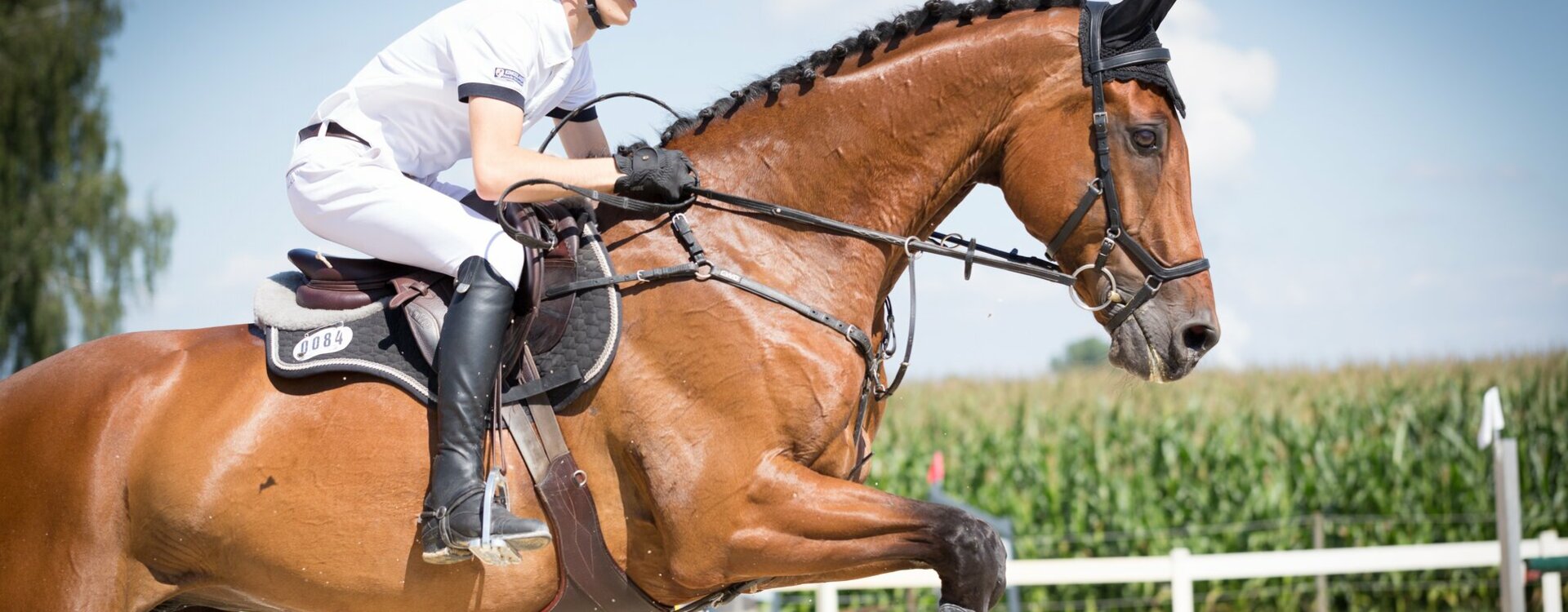 Ecole Départementale Equitation Poney Club Aurillac